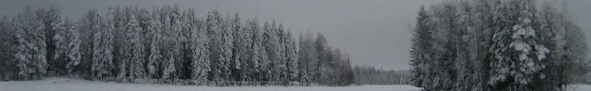 ratkaisukeskeinen työnohjaus